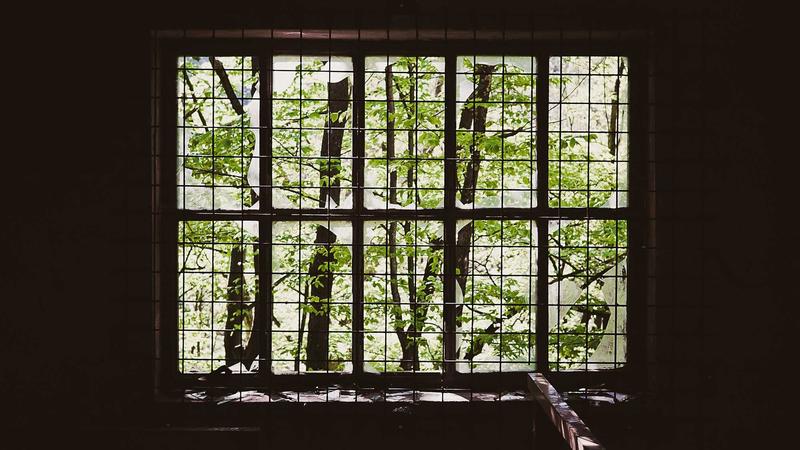 91生态产品线关系图